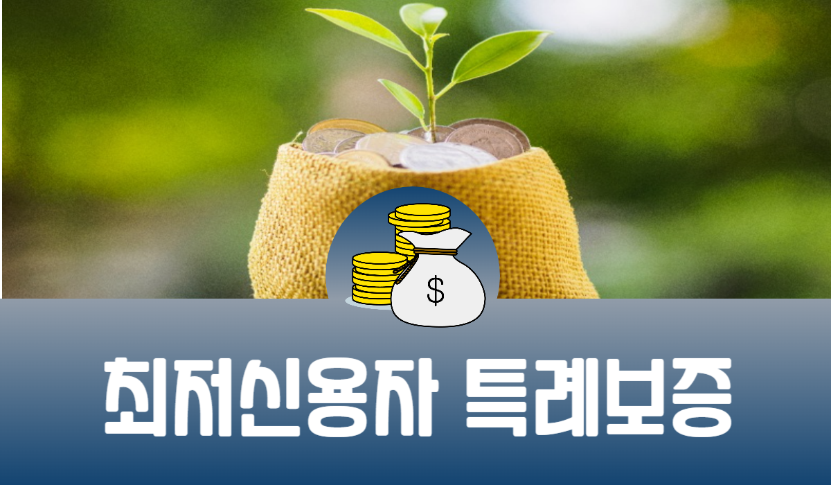 최저신용자 특례보증