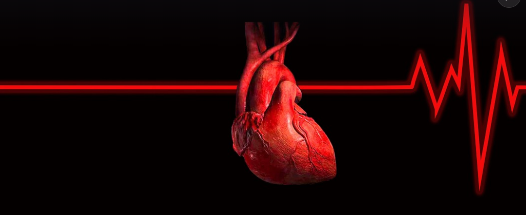 성인간호학 부정맥 환자의 간호 간호관리의 중요성