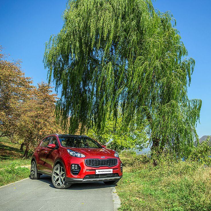 제주도 렌트카 비교사이트