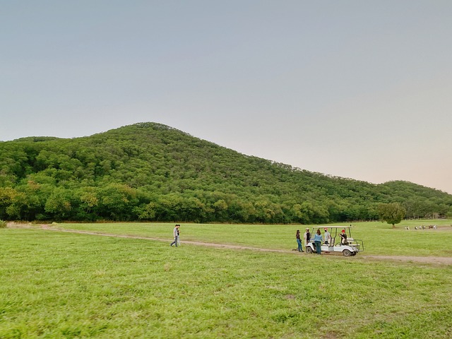 골프를 치는 사람들