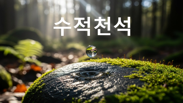 수적천석