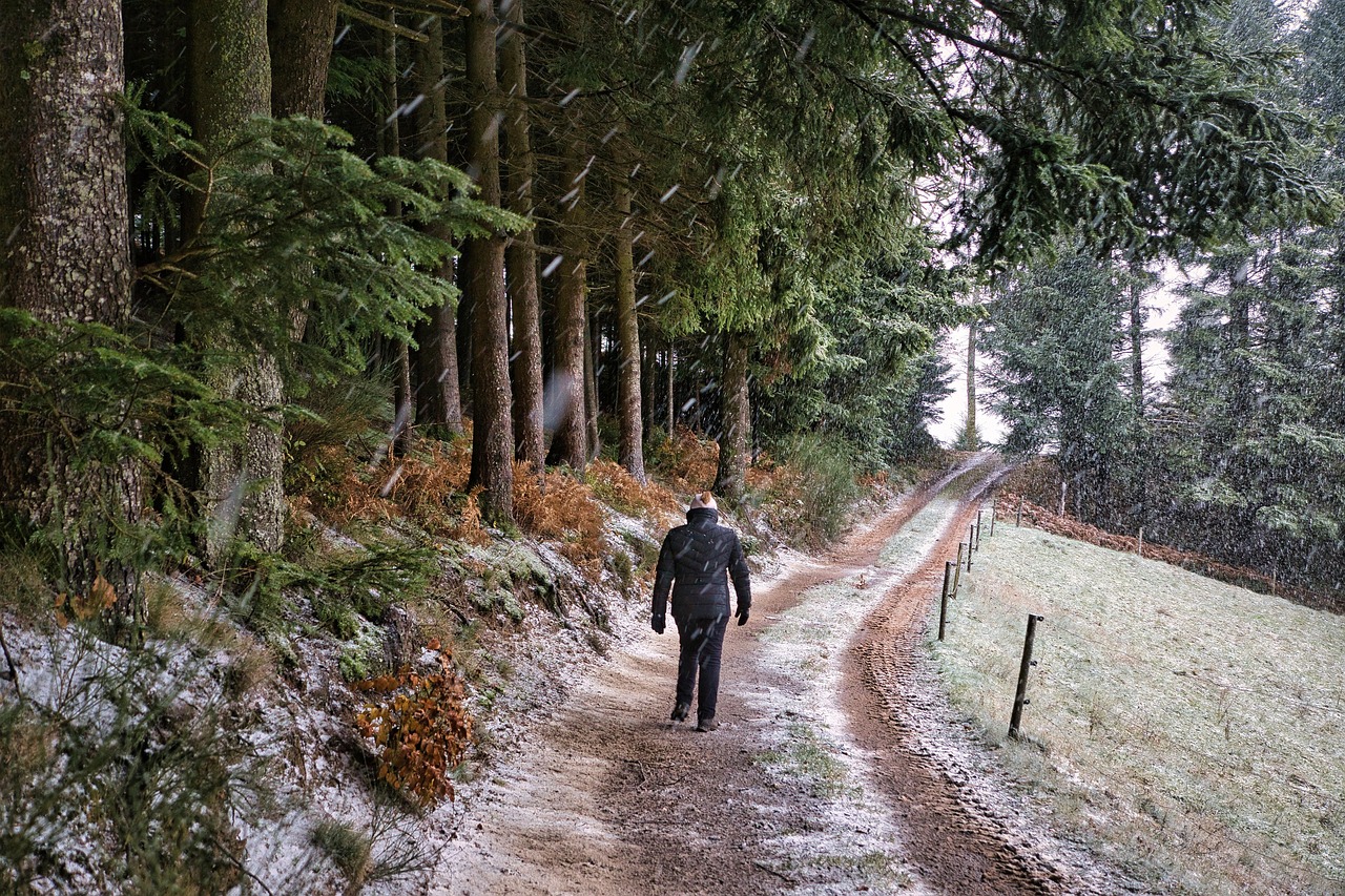 수도권 첫눈 첫대설