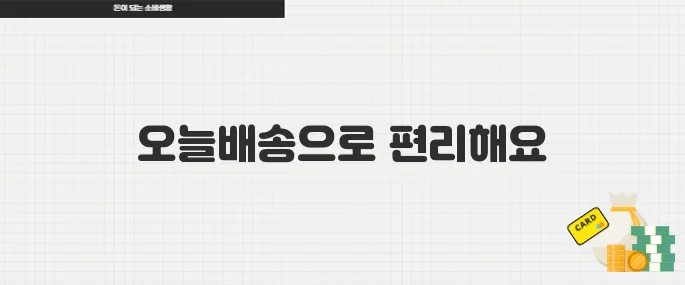 다이소 오늘배송 런칭 기념 지금 이용하면 좋은 이유