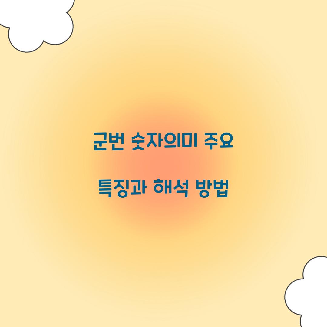 군번 숫자의미