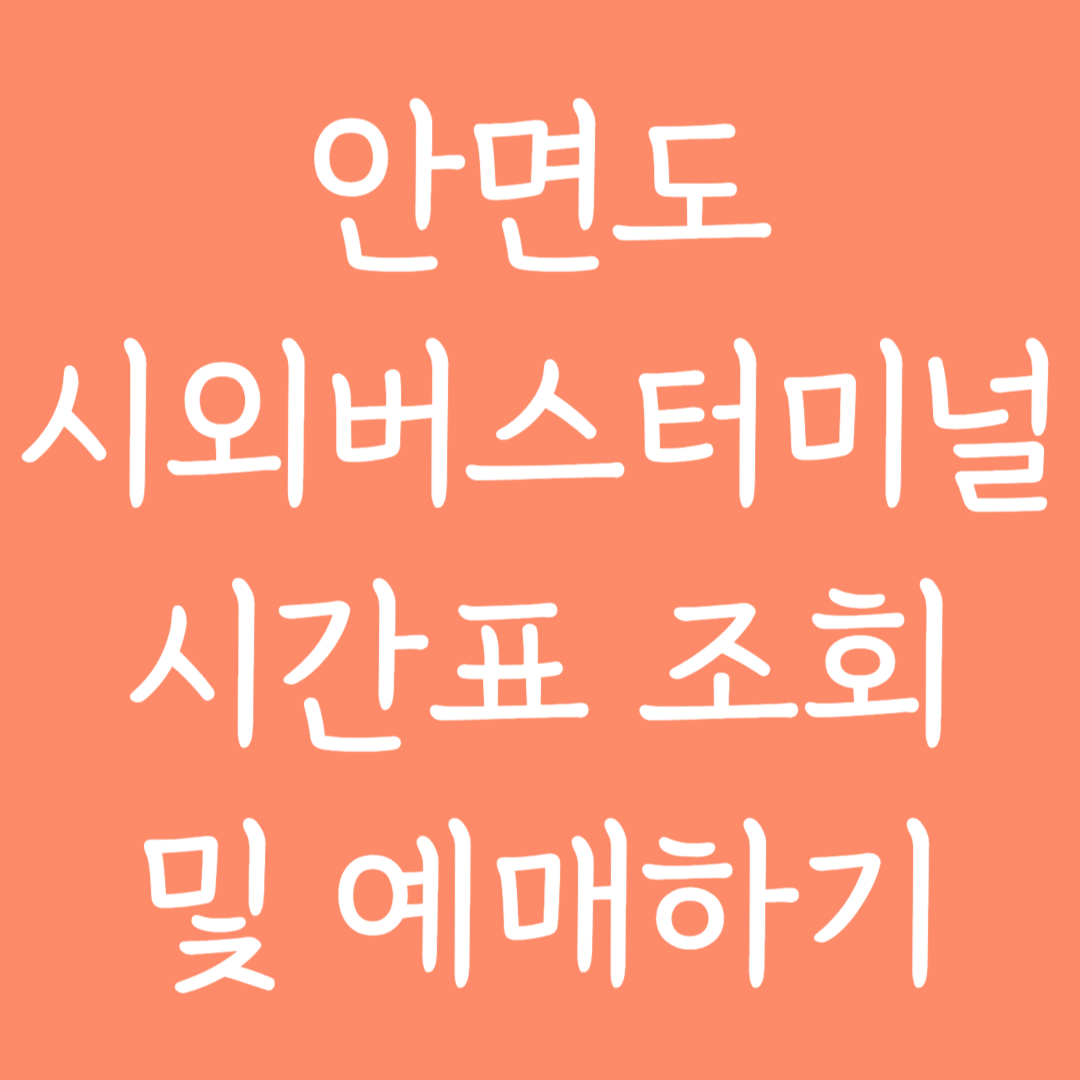 안면도 시외버스터미널 시간표조회 및 예매하기