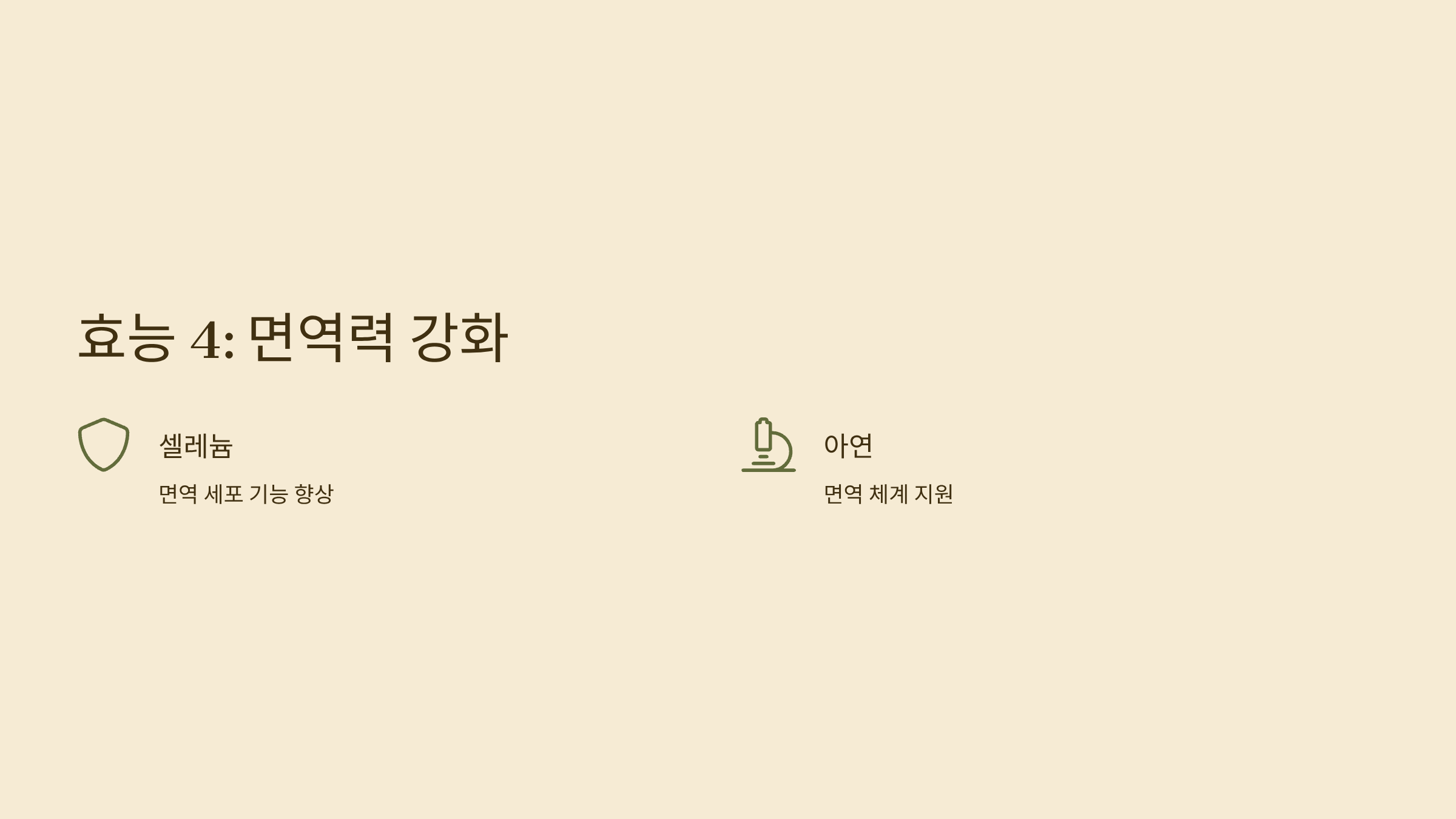 해바라기씨 사진입니다.