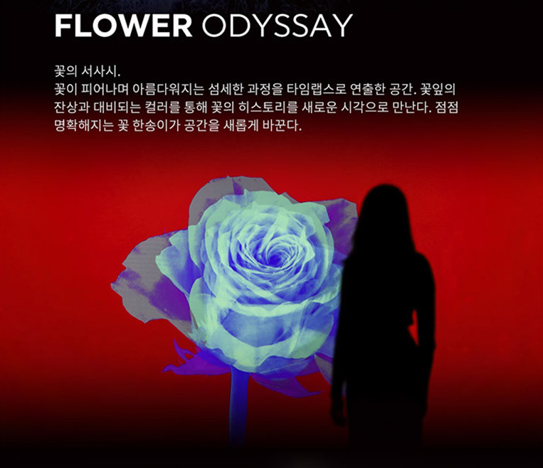 아르떼뮤지엄