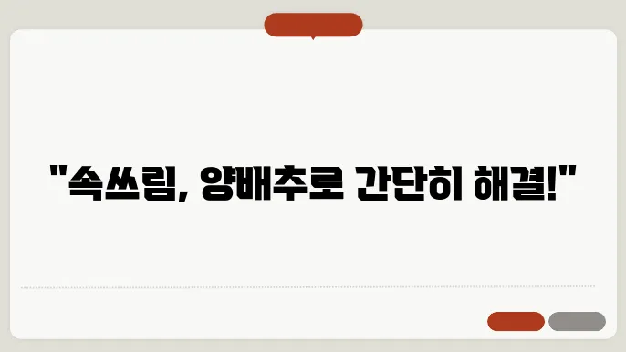 양배추와 혈자리