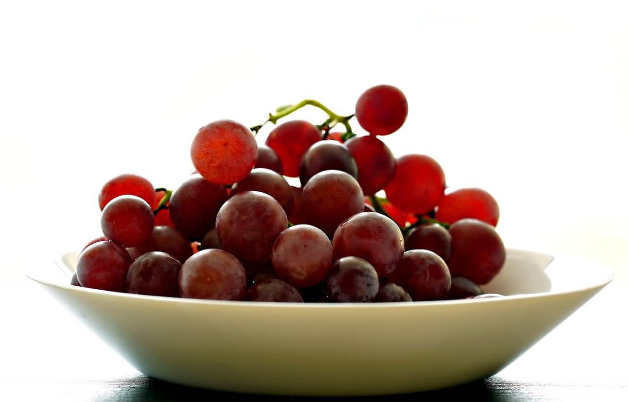 9월 제철 과일 포도