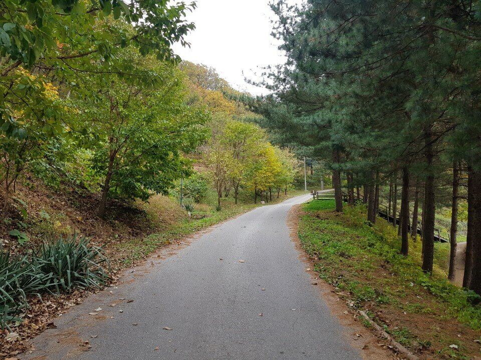 마곡 서울식물원 입장료 주차장 운영시간