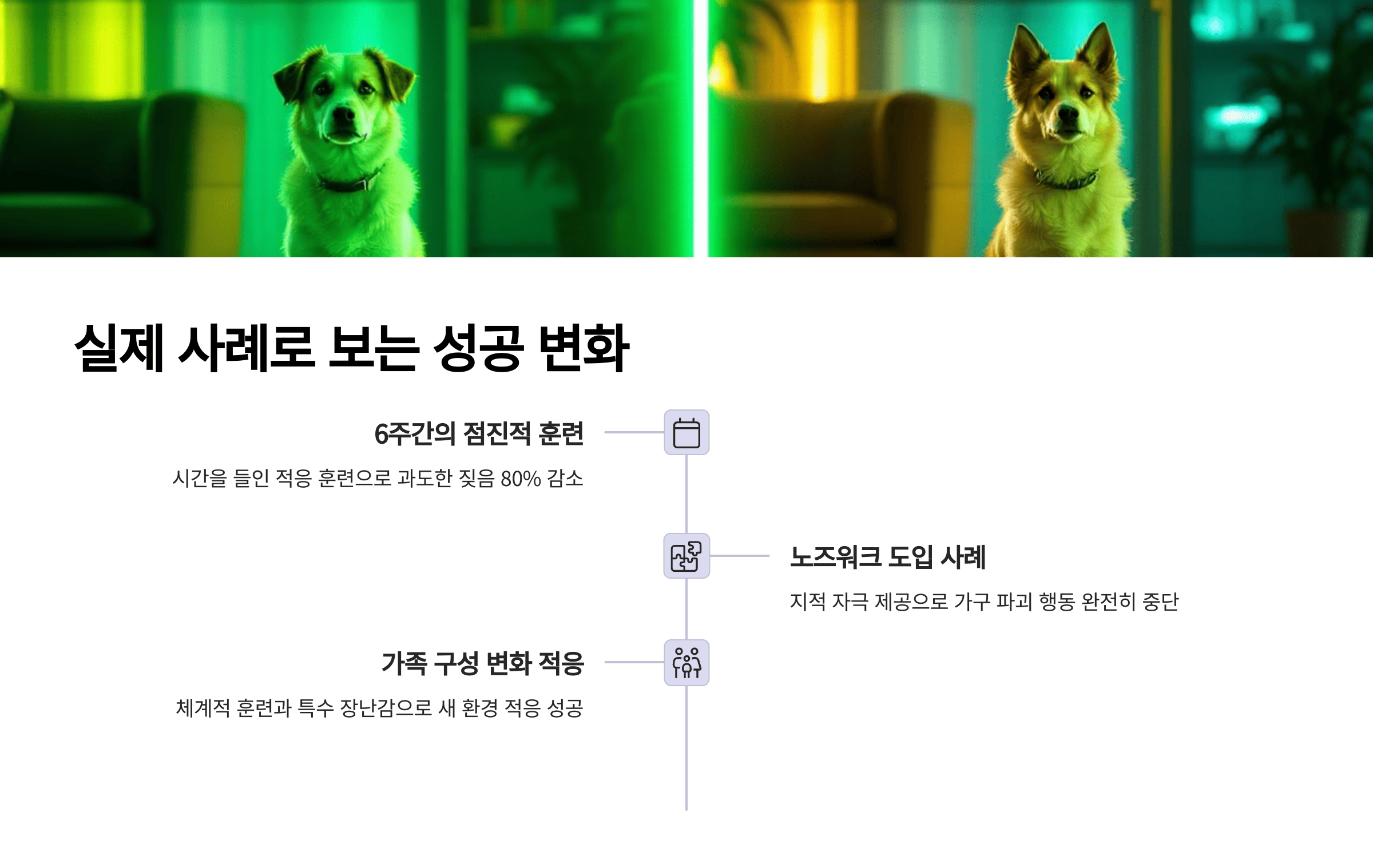 실제 사례로 본 성공적인 변화