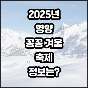 25년-양양꽁꽁겨울축제-알아볼수-있는-홈페이지-주소-링크