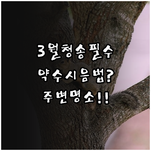 3월 청송 여행 필수 코스 달기약수 ..