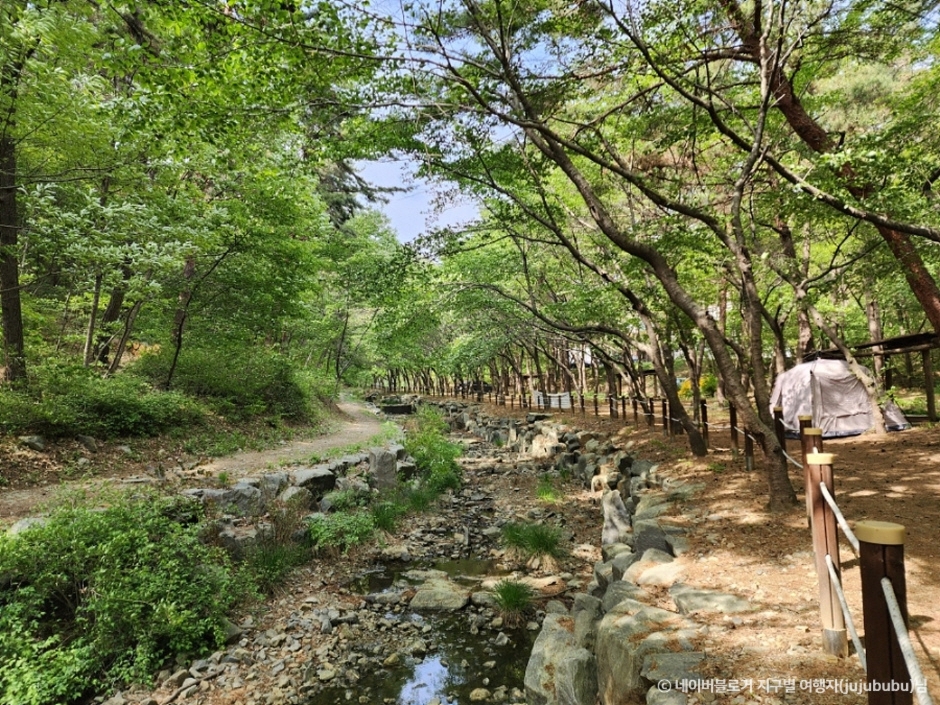 서천 가볼만한곳 베스트10