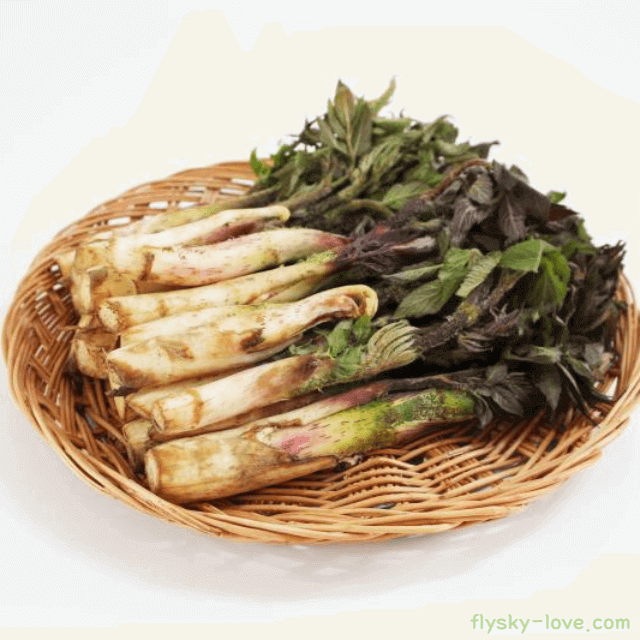 고혈압에 도움이 되는 두릅