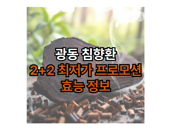 광동-침향환-2+2-최저가-프로모션-효능