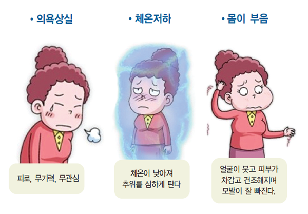 갑상선 질환의 다양한 증상들을 나타낸 이미지