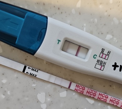 시험관 1차 임테기