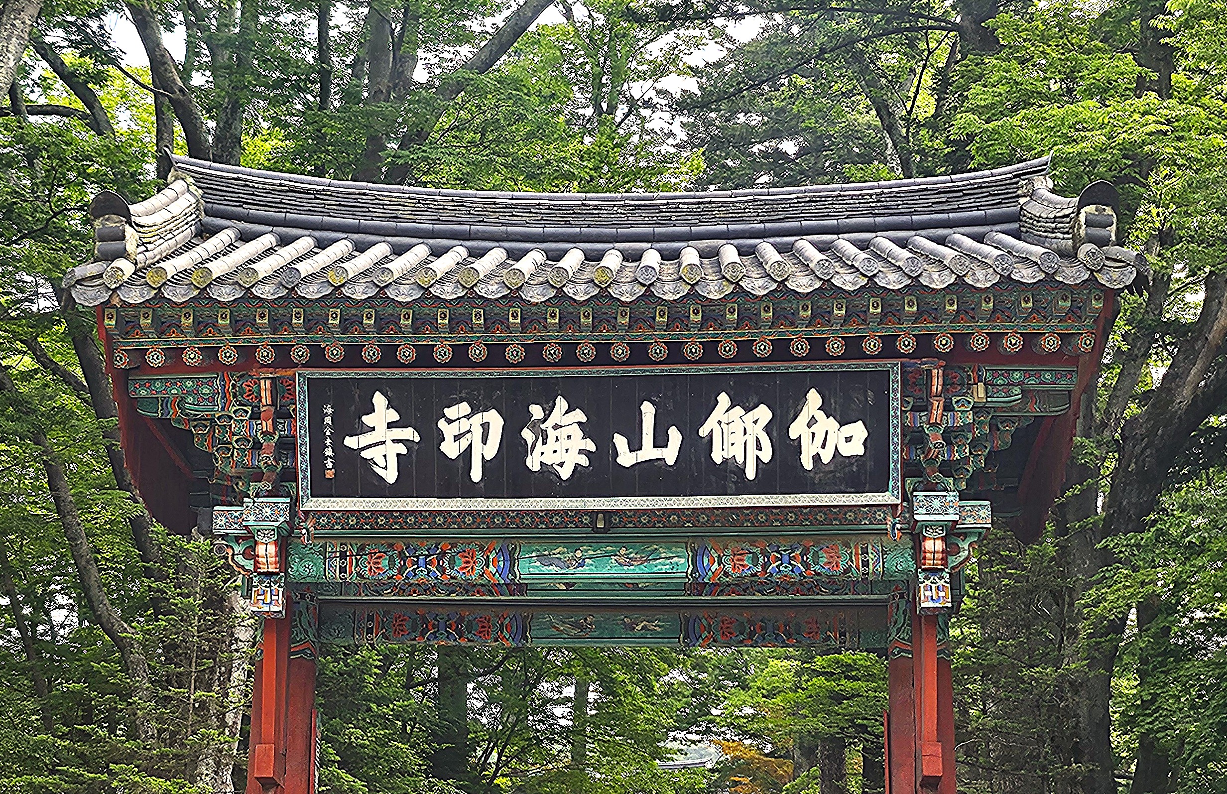 해인사 도량에서 묻고 깨닫는 길