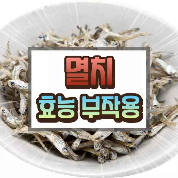 멸치 효능 부작용에 대하여