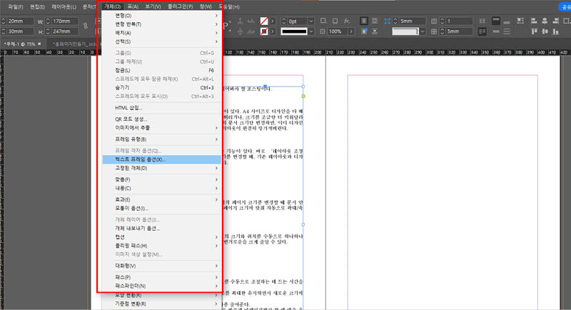 개체-텍스트-프레임-옵션