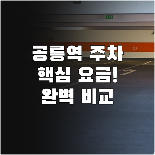공릉역 역세권 주차장 현황 공영 민영..