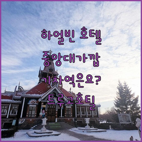 하얼빈 트루고호틸 호텔 완전 정복 중..