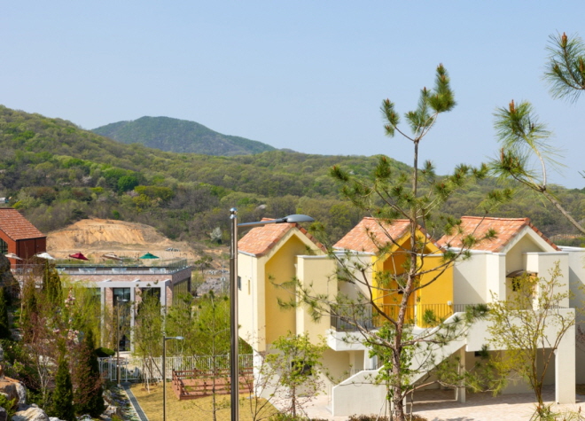 용인 자작나무 숲 까사포레