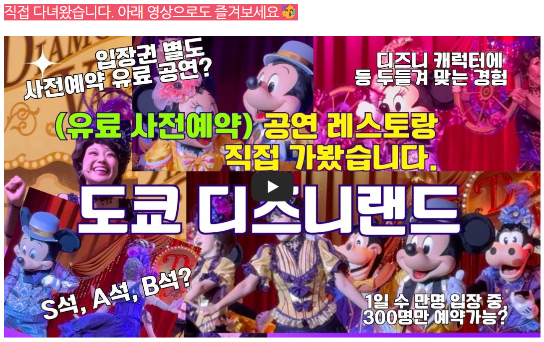 도쿄 디즈니 랜드 유료 공연