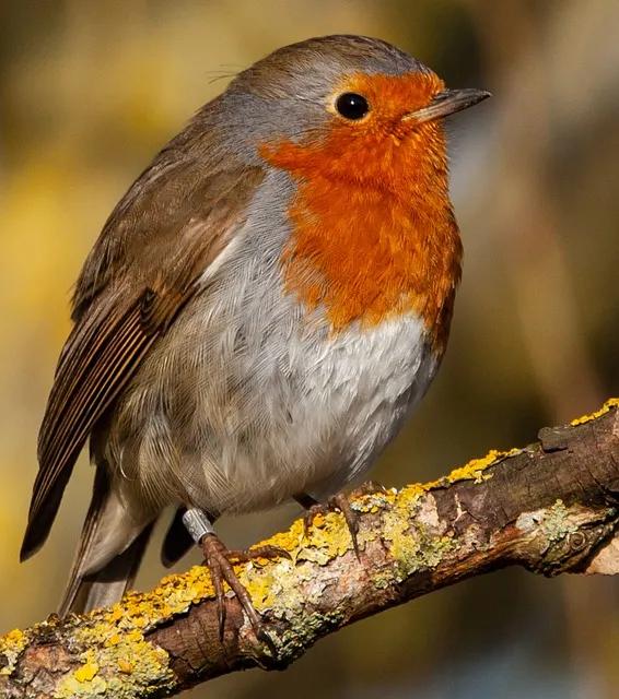 로서 로써 차이 쓰임새 예문 맞춤법_8