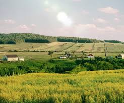 농지은행 농지 임대수탁 신청방법