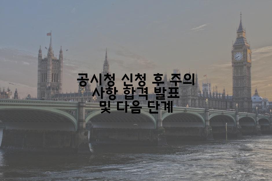 공시청 신청 후 주의 사항 합격 발표 및 다음 단계