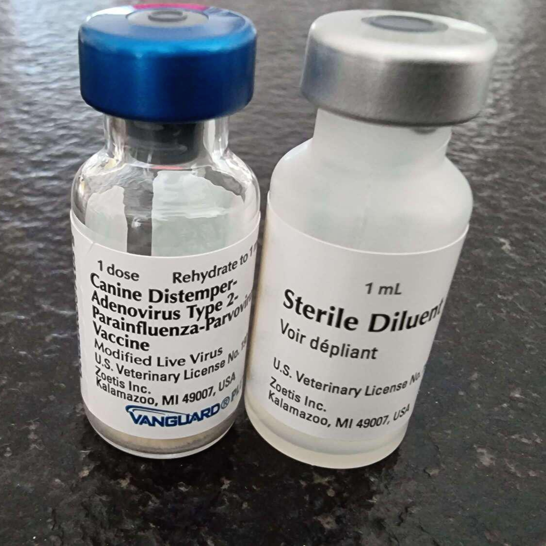 강아지 예방접종켄넬코프