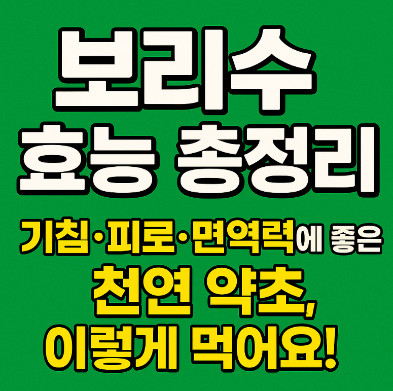 보리수 효능