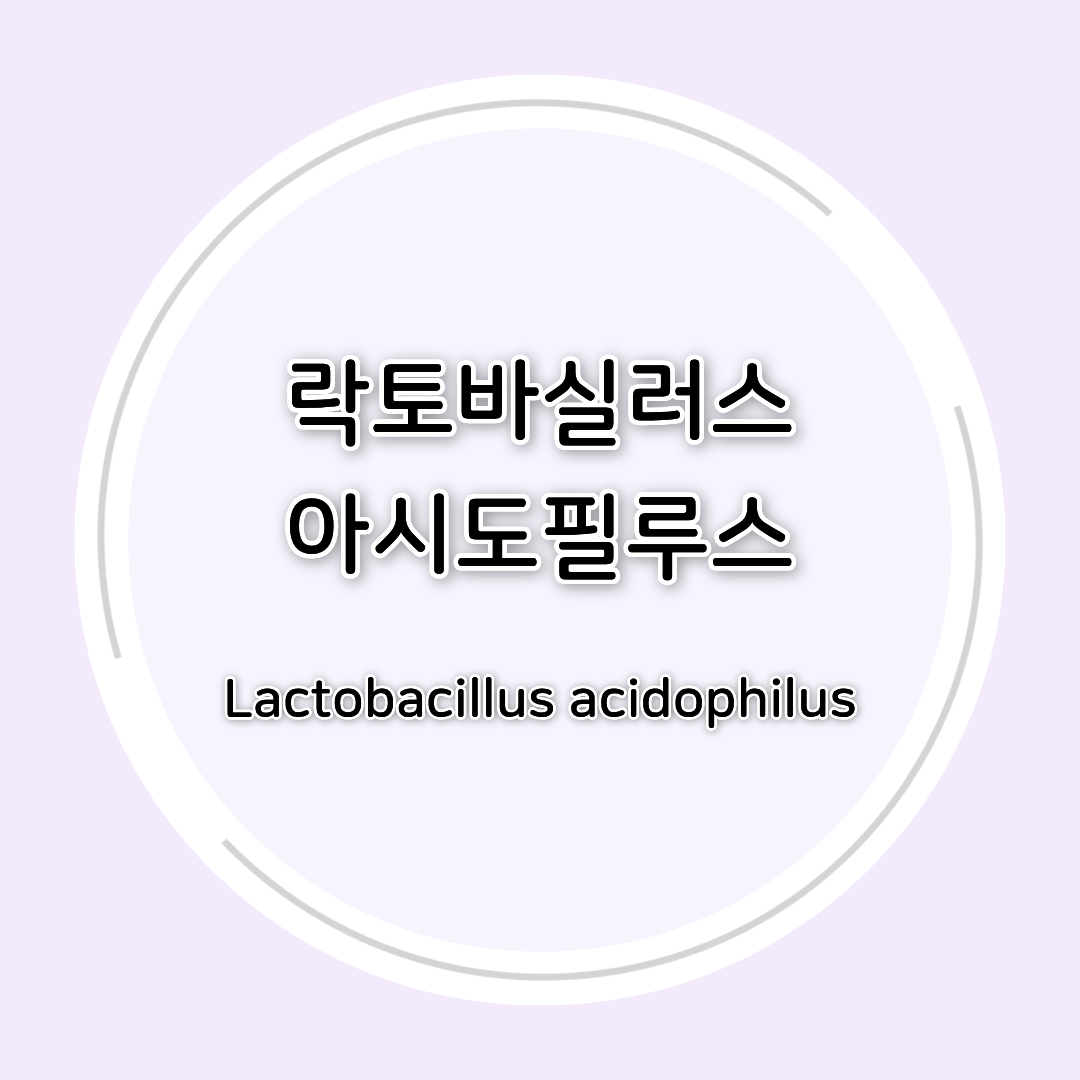 락토바실러스 아시도필루스(Lactobacillus acidophilus) 효능 총정리