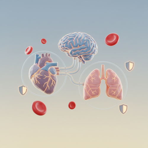 우리 몸에 철분이 중요한 진짜 이유: 에너지와 면역력의 핵심!