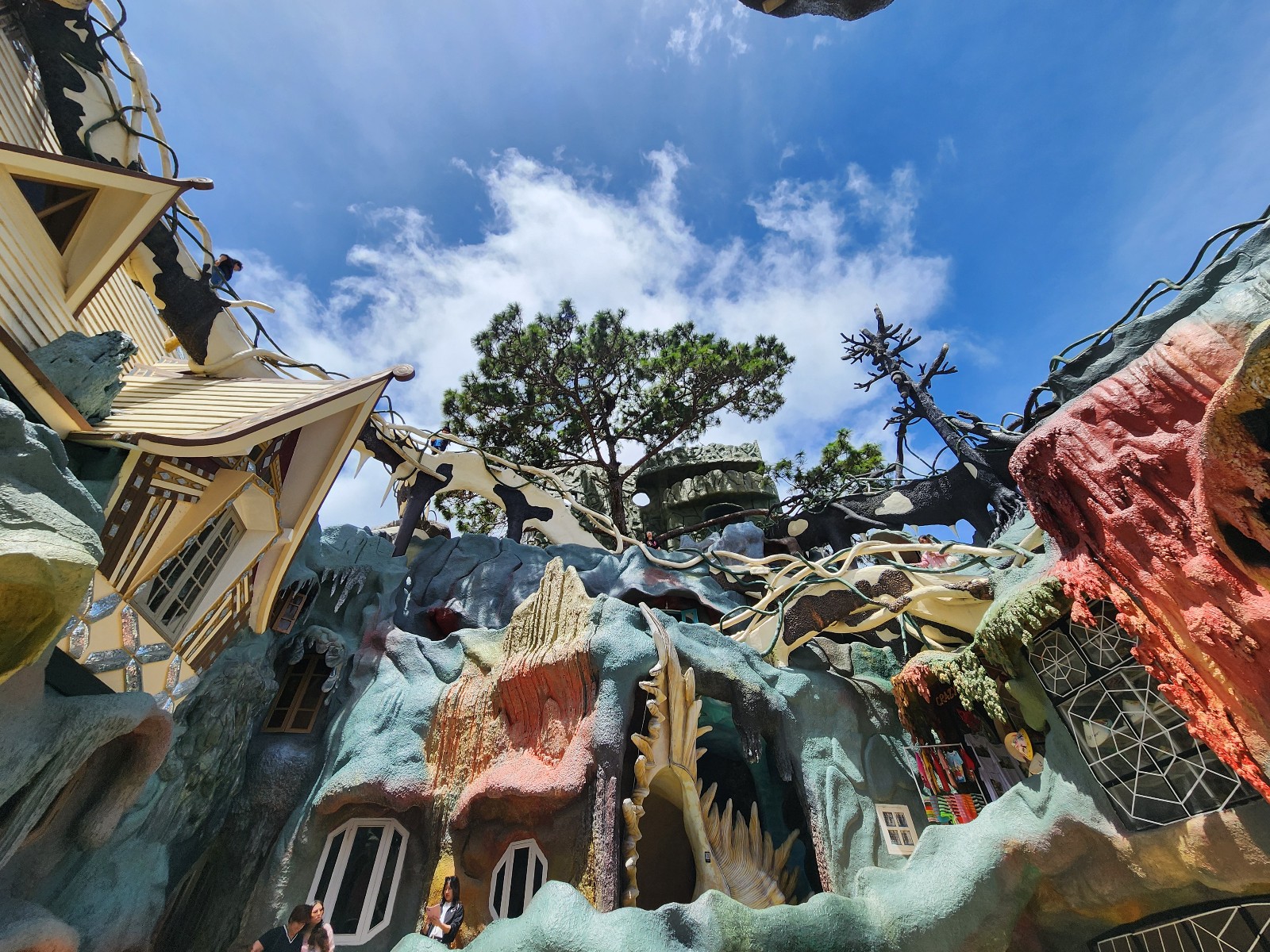 크레이지 하우스