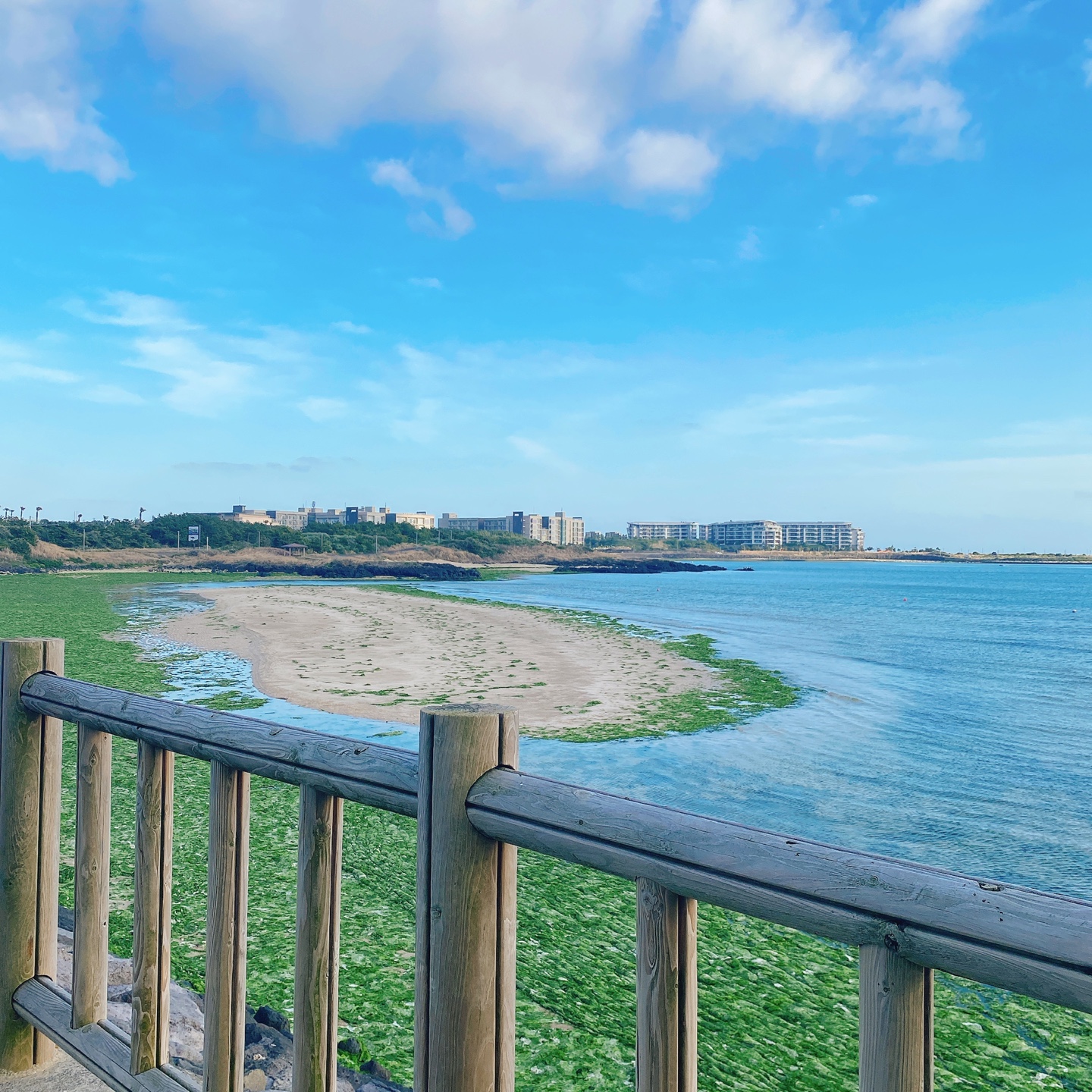 제주 성산 섭지코지 아쿠아플라넷 서귀피안 베이커리 카페