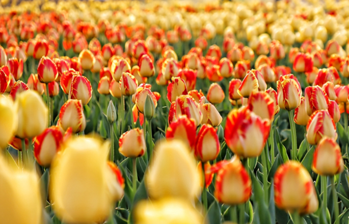 금은모래강변공원