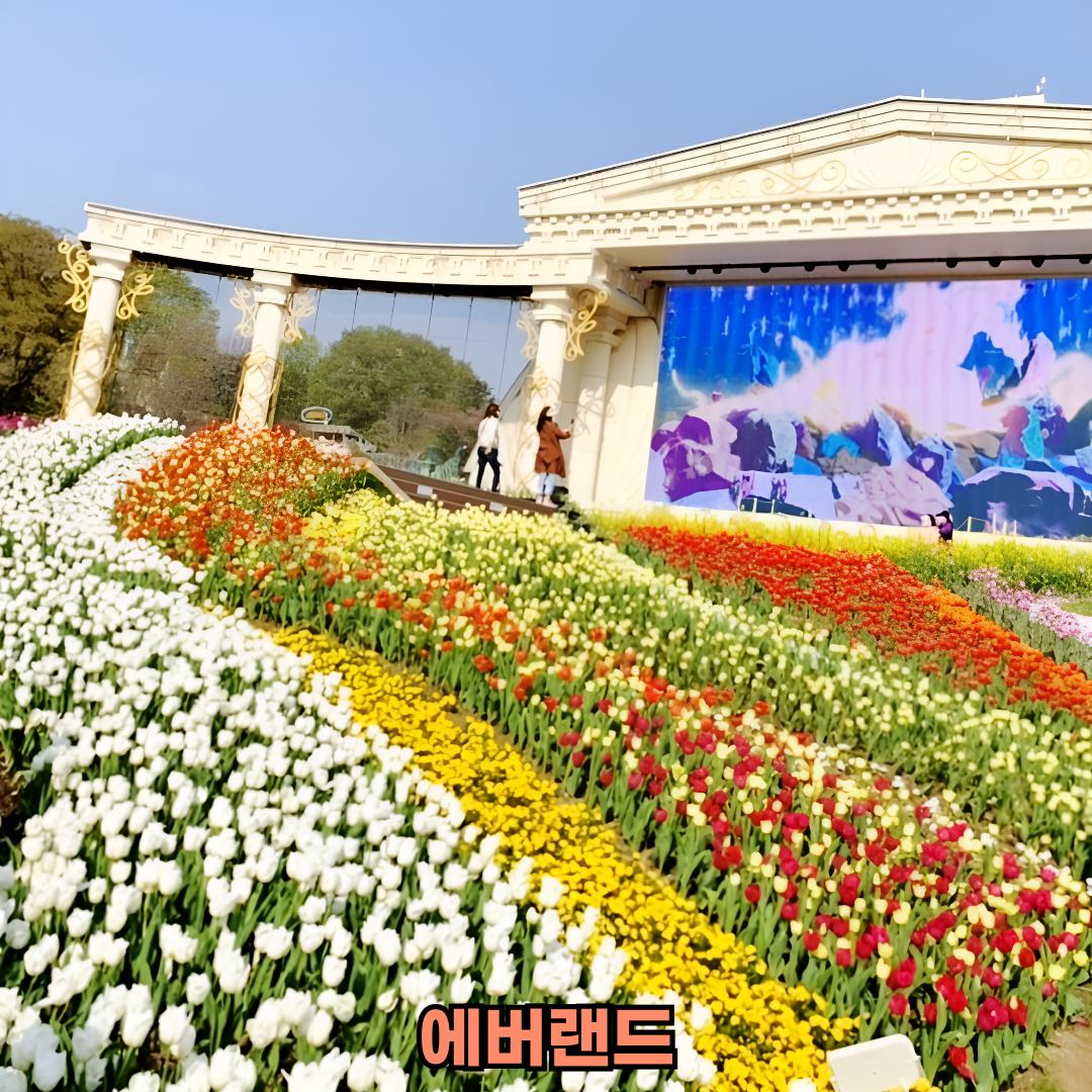 에버랜드 사파리 예약 방법과 튤립 축제 정보