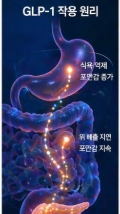 명의 이미지