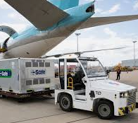 2026년 대한항공 신입사원 채용 : 우대사항