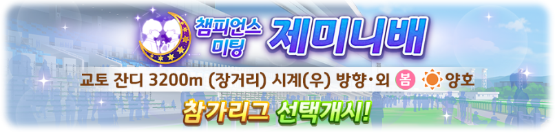 챔미 제미니배 정보