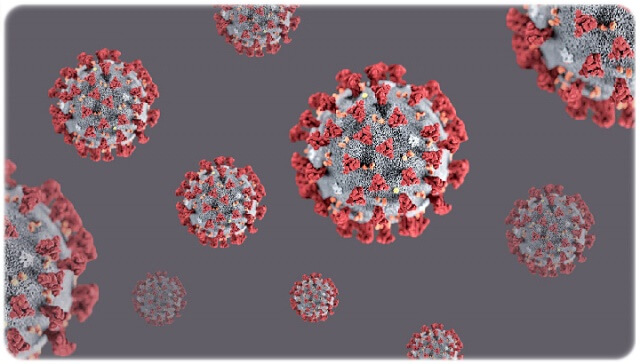 델타 플러스 변이