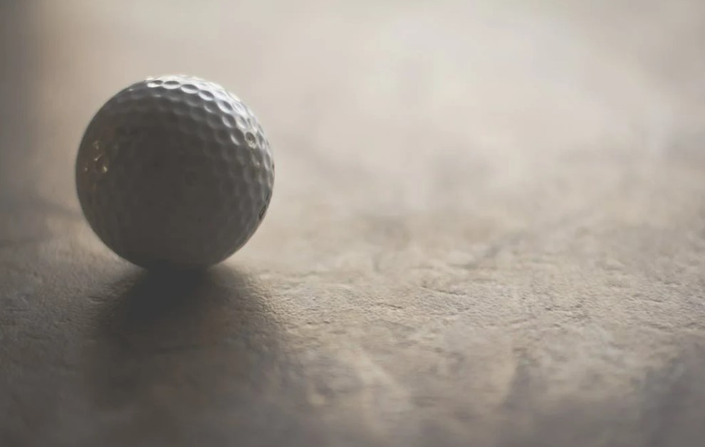 골프회원권 매입 후기, 직접 경험한 리얼 후기와 솔직한 평가