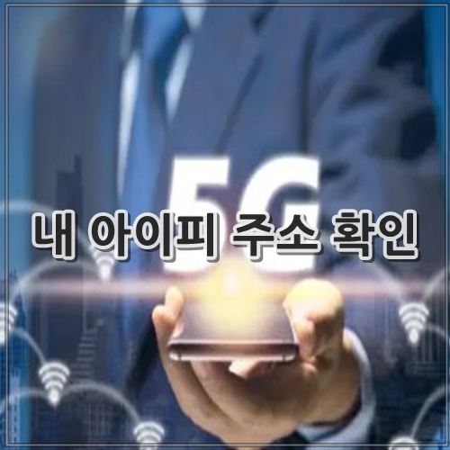 내 아이피 주소 확인