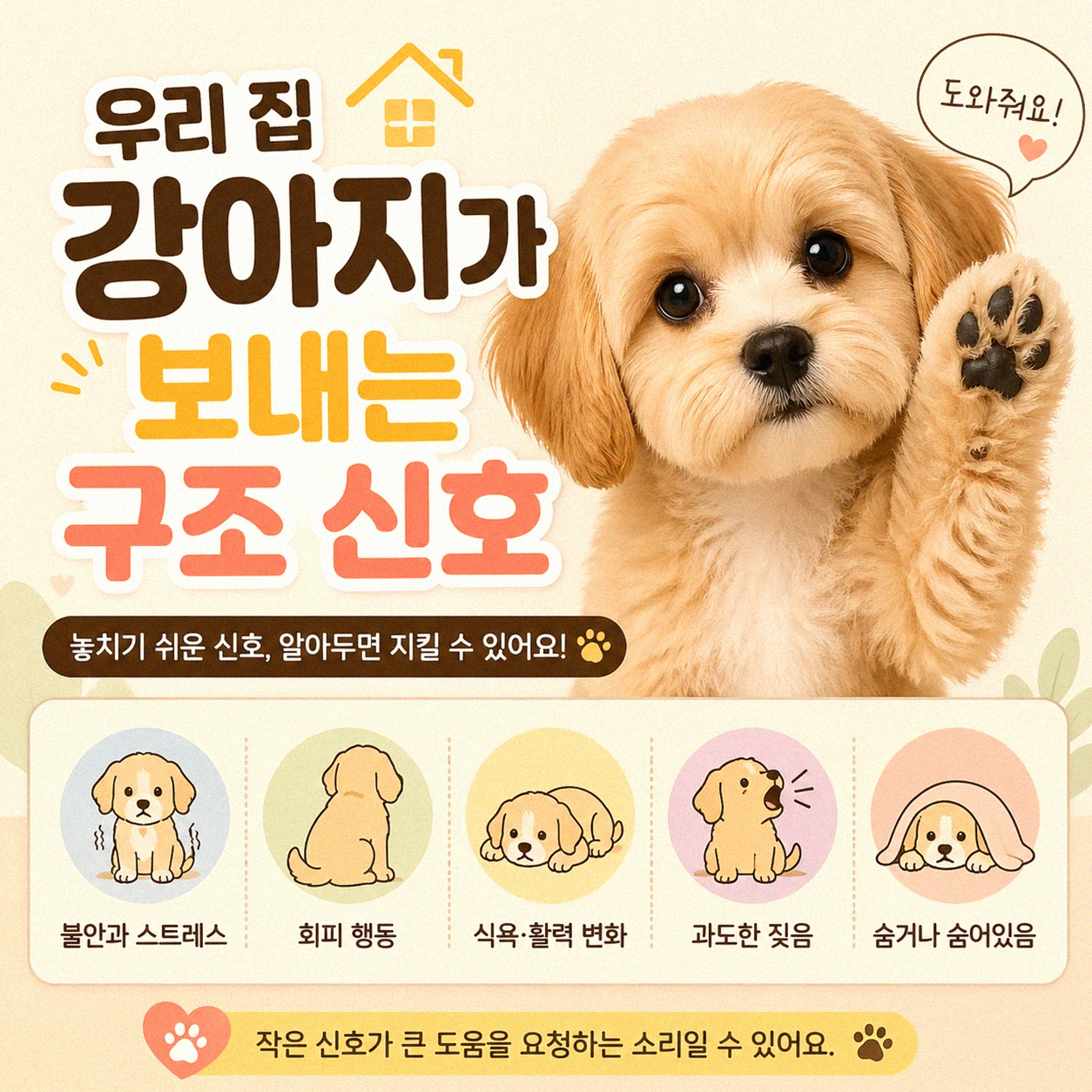 반려동물 분리 불안 신호, 이걸 알면 상황이 달라져요