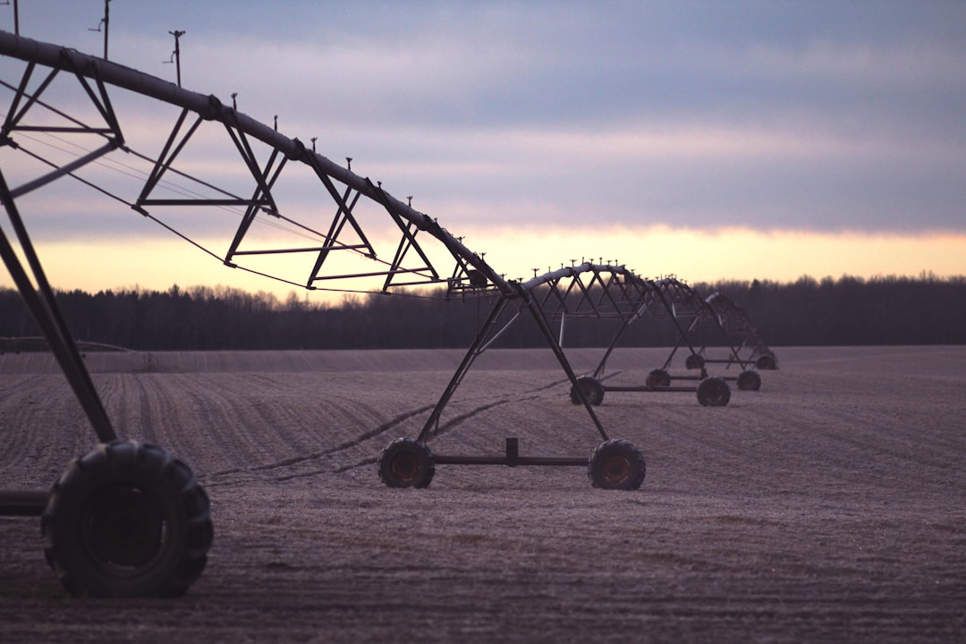 Harvest
