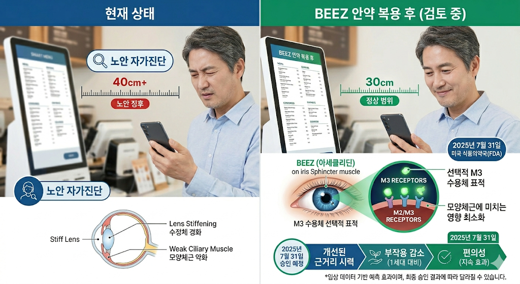 노안안양비즈