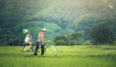 2025 국내 봄 축제 일정 총정리 (가족 여행, 1박2일)